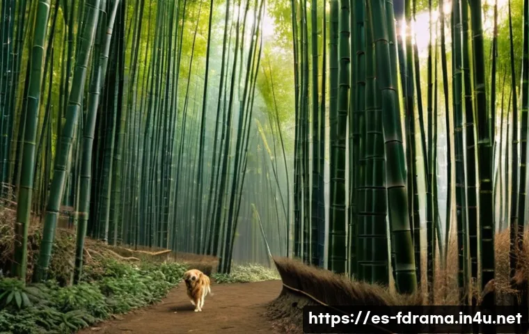 로스트 결말 해석 관련 이미지 2